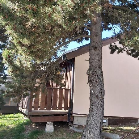 Chalet De L Ours Bolquere Pyrenees 2000 Kültér fotó