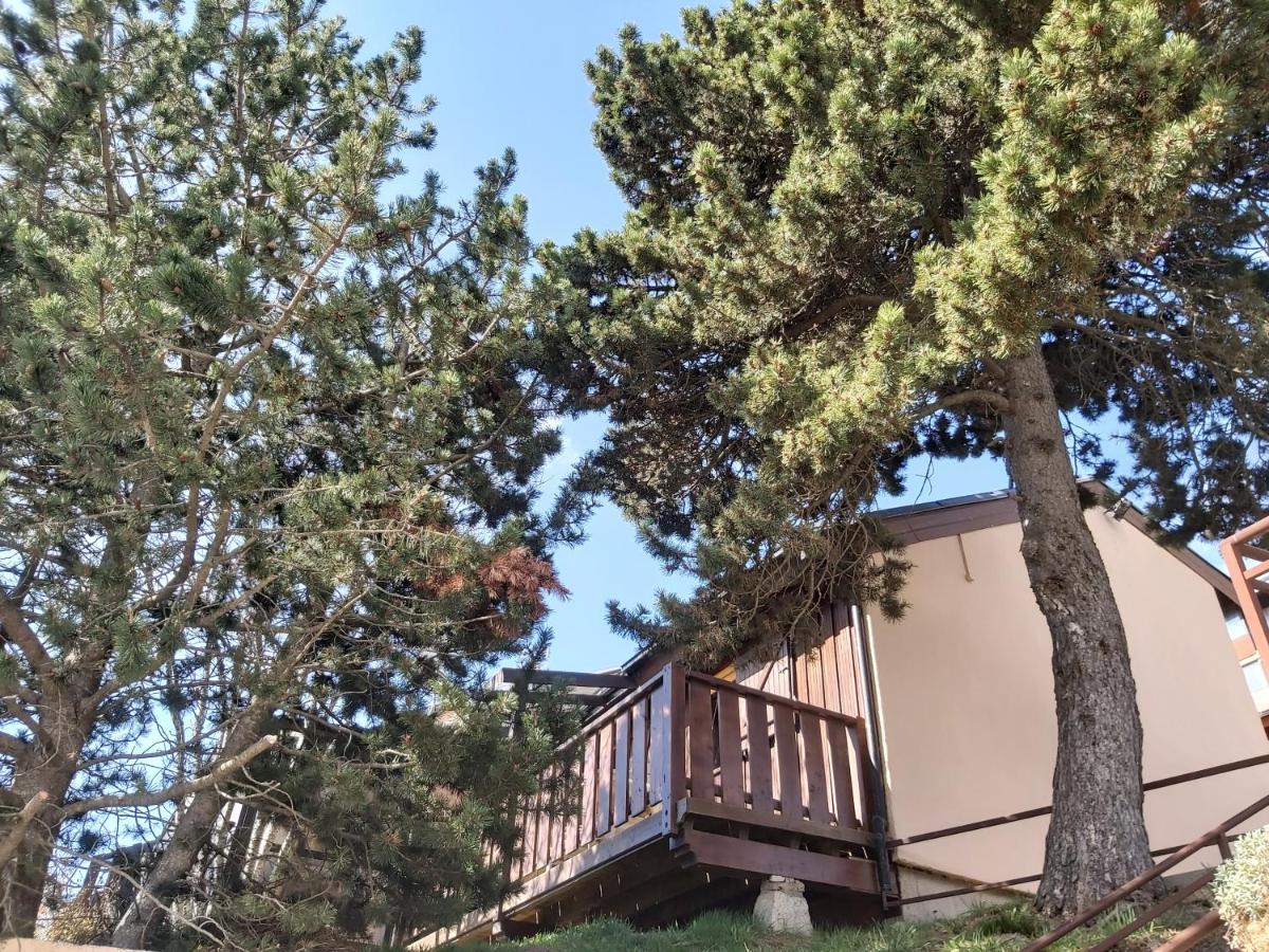 Chalet De L Ours Bolquere Pyrenees 2000 Kültér fotó